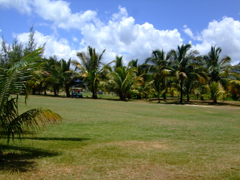 Mauritius 2010 - 0184 